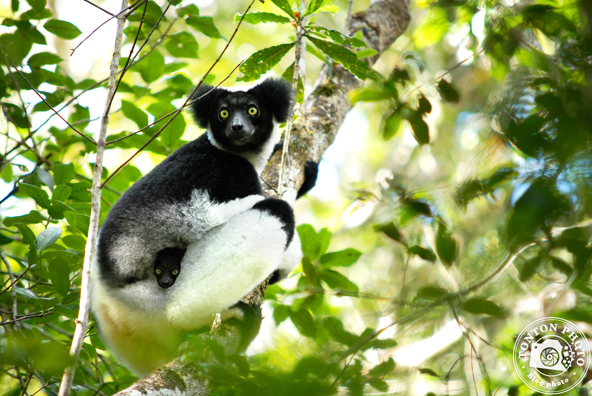 Tuto exposition photo (3/3) : comprendre la sensibilité ISO en moins de 3mn © Tonton Photo