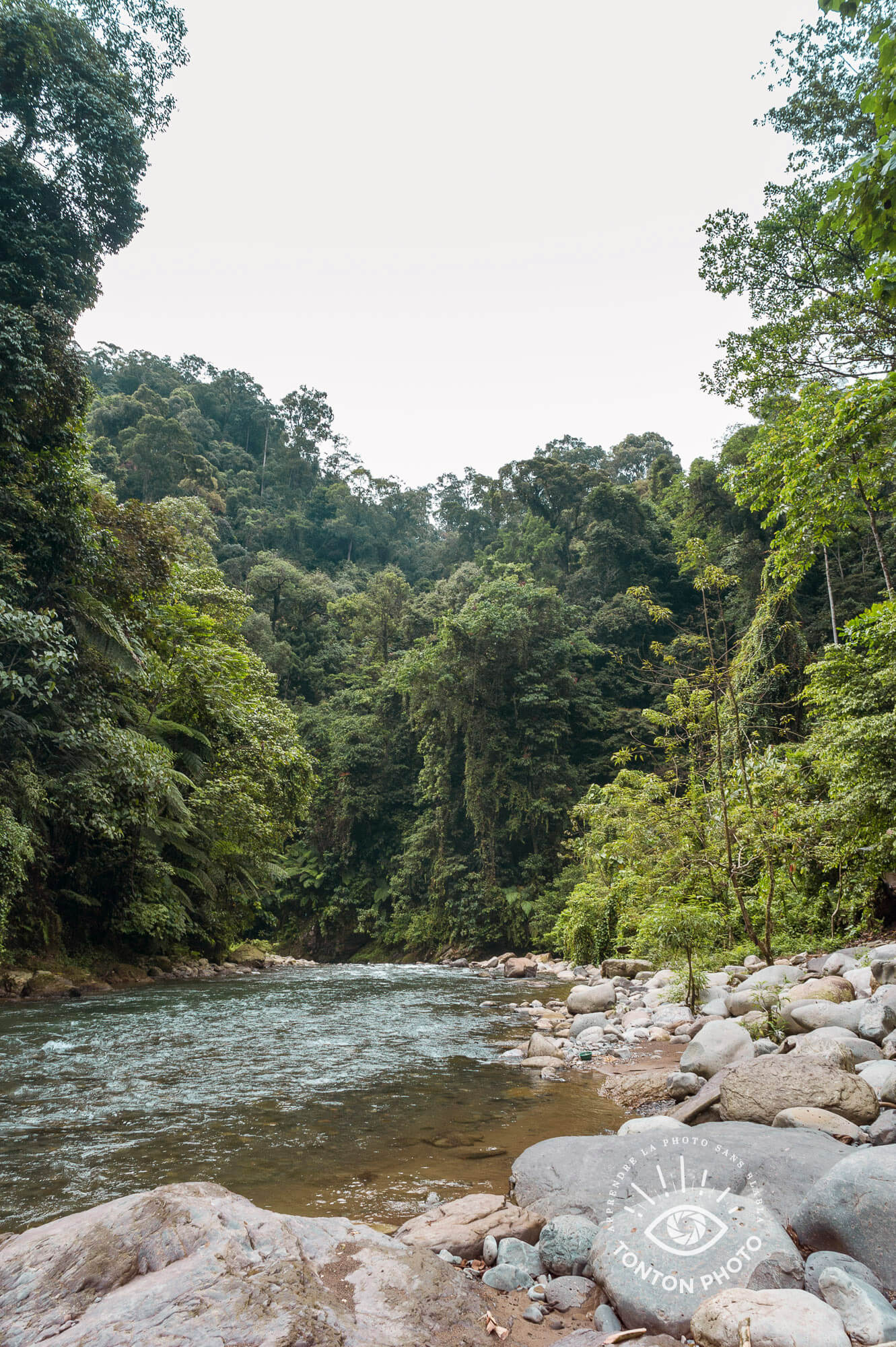 La jungle équatoriale sauvage de Sumatra, Parc National du Gunung Leuser, Indonésie © Clément Racineux / Tonton Photo
