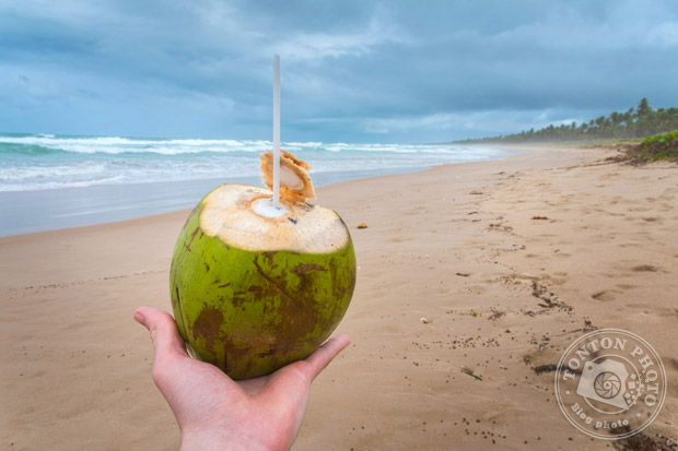 Dure dure la vie au Brésil ! Sur une plage sauvage et immense de Praia Do Forte, Bahia, Brésil © Clément Racineux / Tonton Photo