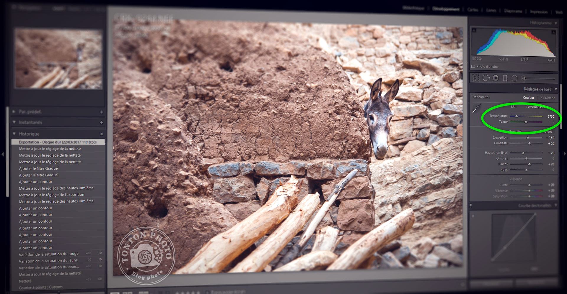 Comprendre la balance des blancs et la température de couleurs en moins de 7 minutes © Tonton Photo