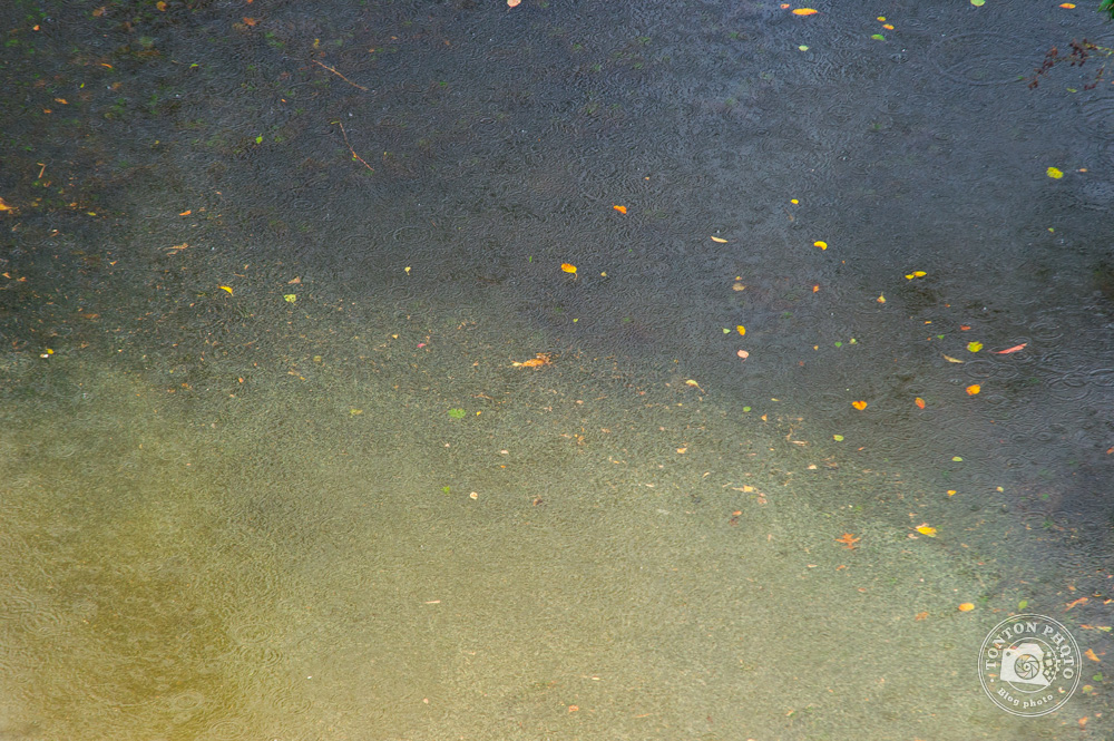 Mélange des eaux de rivière et de boue, provoqué par de fortes pluies automnales © Clément Racineux / Tonton Photo