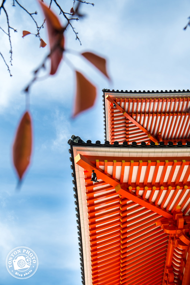 Le splendide temple Konpondaito, Koyasan, Japon © Clément Racineux / Tonton Photo