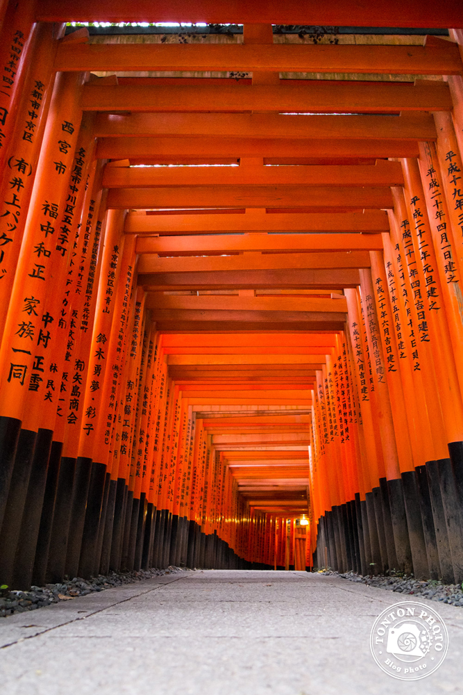 Les fameux torii (portiques shinto de passage entre les mondes profane et sacré) du sanctuaire Fushimi Inari Taisha, Kyoto, Japon  © Clément Racineux / Tonton Photo