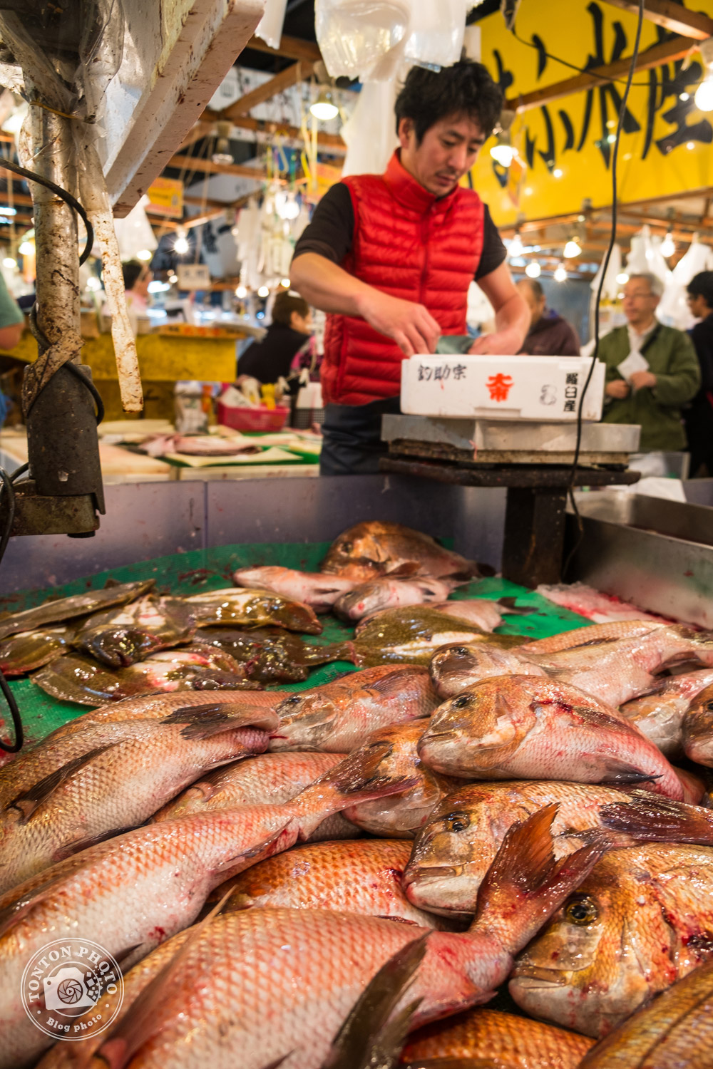 Sur le marché aux poissons et fruits de mer de Tsukiji, Tokyo, Japon © Clément Racineux / Tonton Photo