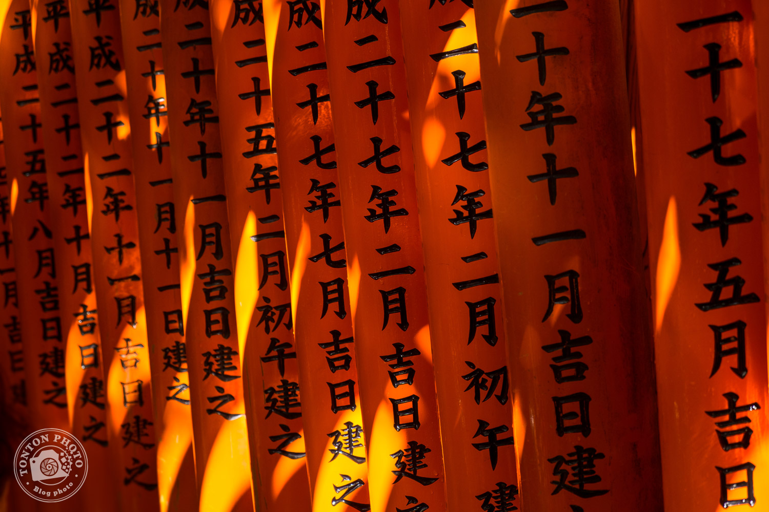 Les fameux torii du sanctuaire Fushimi Inari Taisha, Kyoto, Japon © Clément Racineux / Tonton Photo