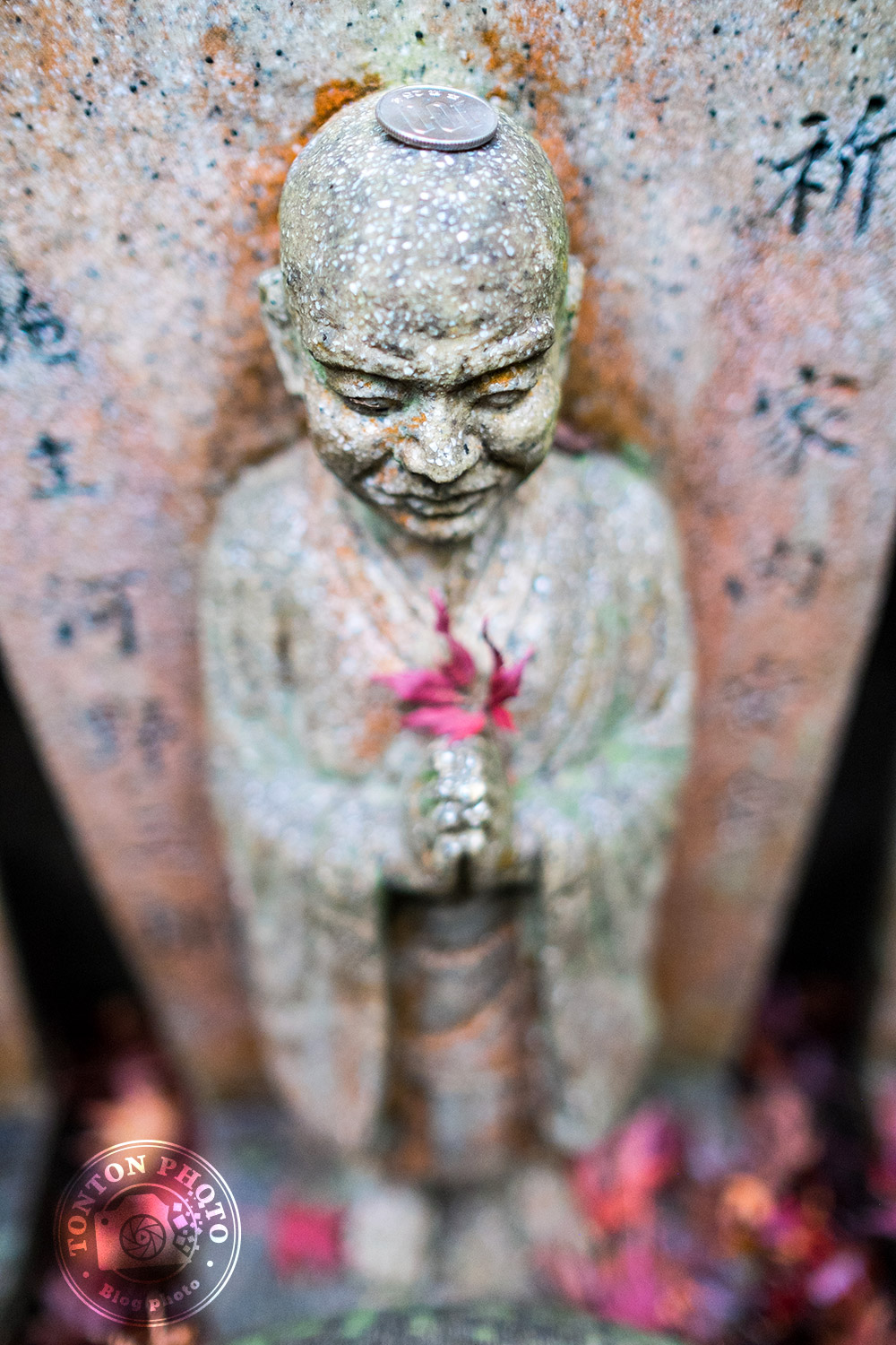 Offrande sur le crâne d'une des centaines de statues bouddhiques du temple Daisho-In. Île de Miyajima, Japon © Clément Racineux / Tonton Photo