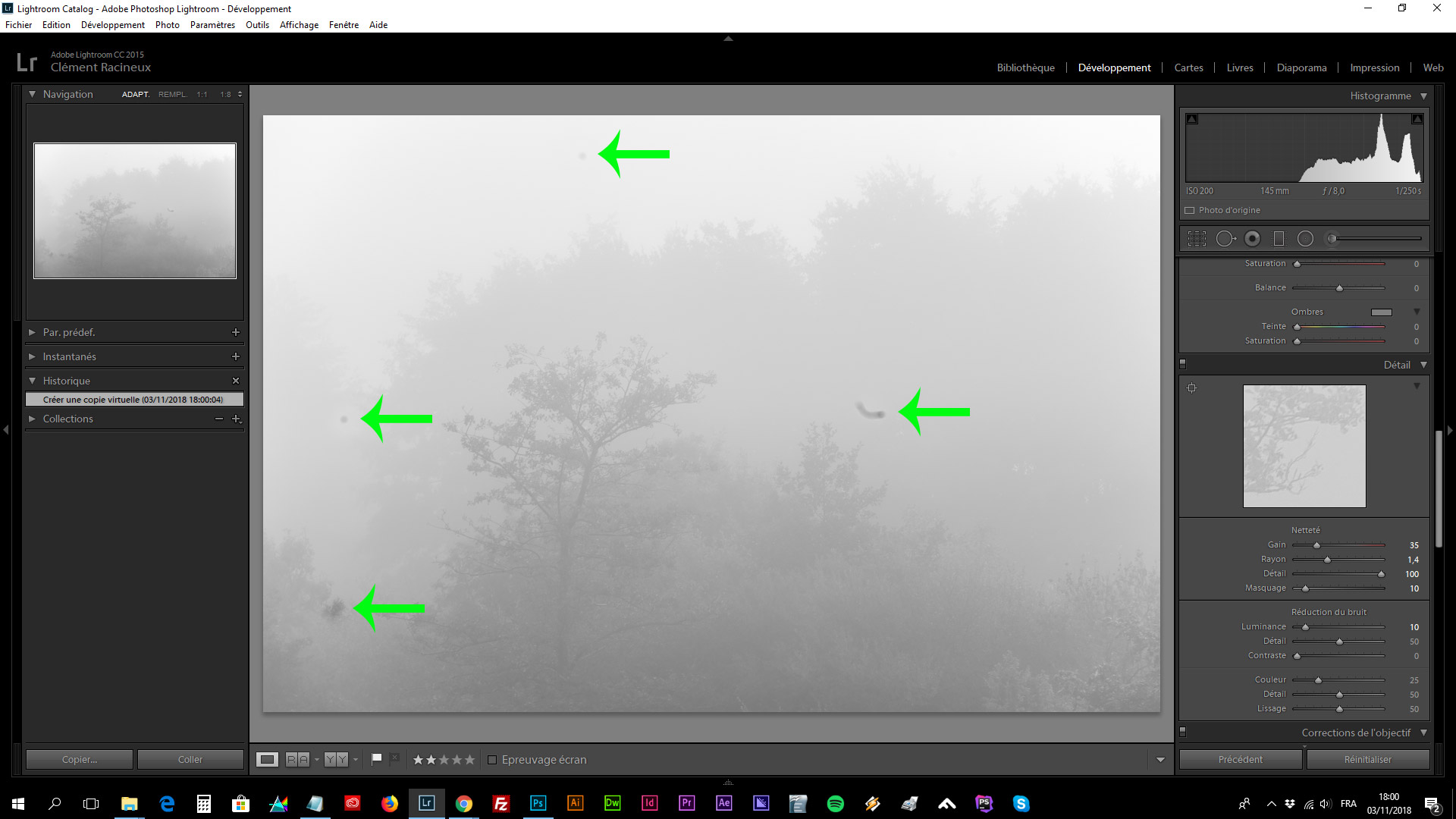 Comment photographier le brouillard ? Arbres au petit matin © Clément Racineux / Tonton Photo