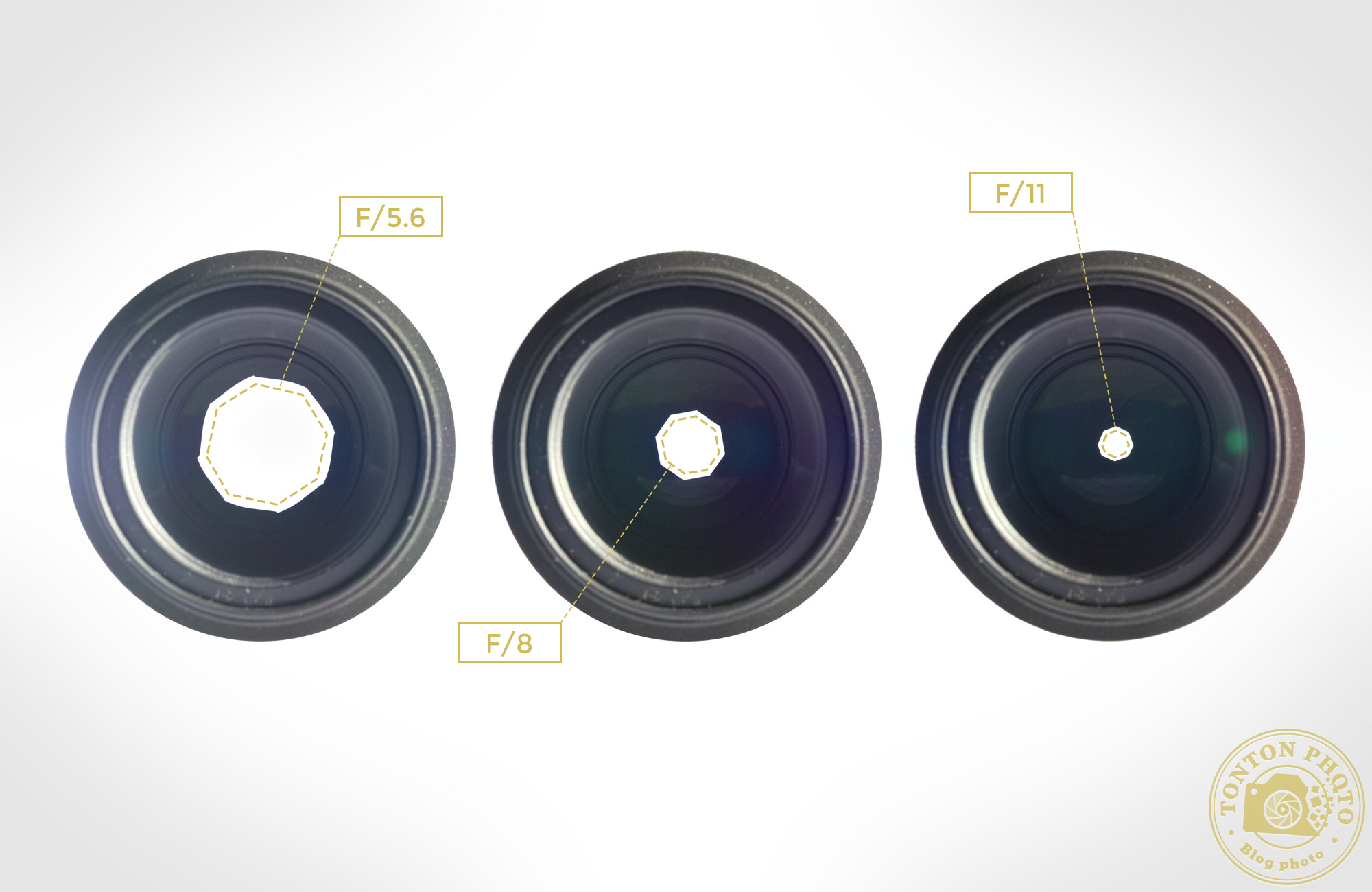 Photographie : comprendre l'ouverture en moins de 3 minutes ! © Tonton Photo