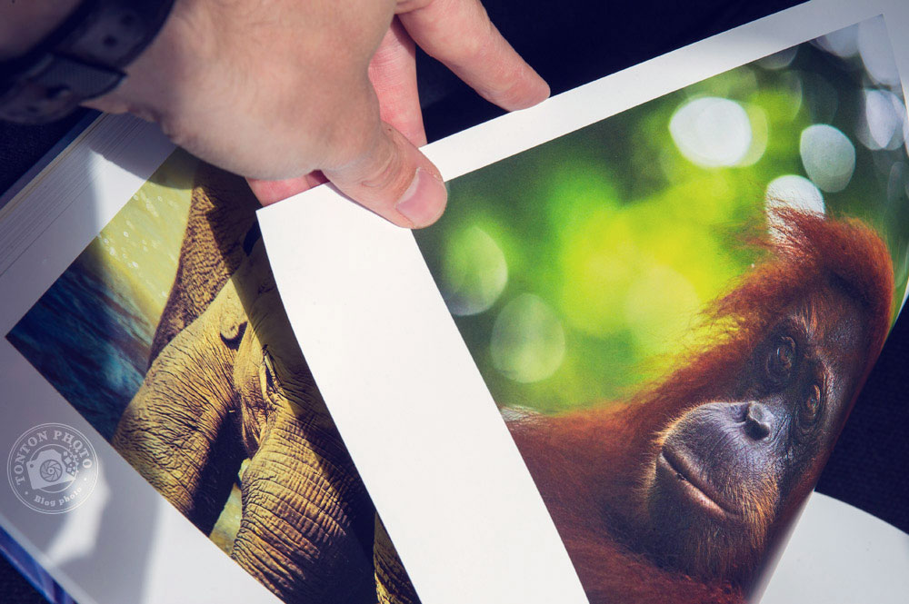 J'ai testé pour vous l'impression d'album photo chez AlbumPhoto.fr - Cewe © Tonton Photo