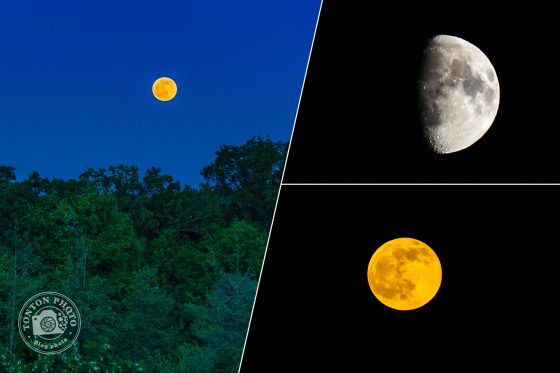 Comment photographier la lune ? Un tutoriel de Tonton Photo