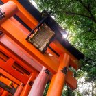 Japon, les photos du second voyage avec des lecteurs © Tonton Photo