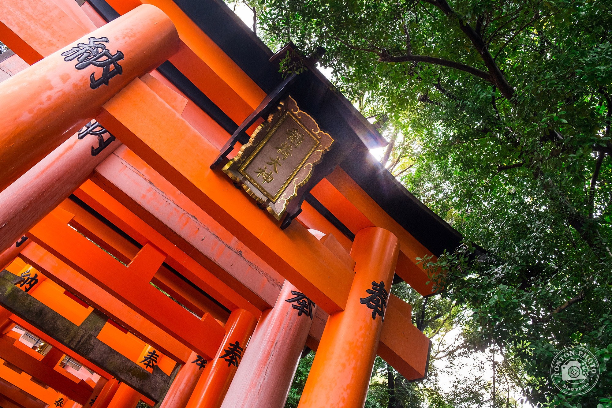 Japon, les photos du second voyage avec des lecteurs © Tonton Photo