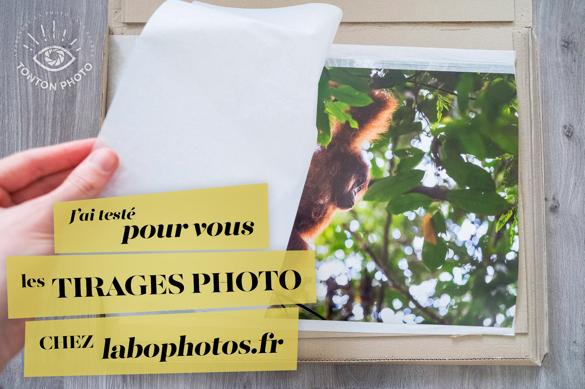 Test labophotos.fr : tirage d'art sur trois papiers fine art différents © Tonton Photo
