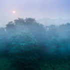 Comment photographier le brouillard ? © Clément Racineux / Tonton Photo